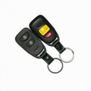 Hyundai nuotolinio valdymo pultas